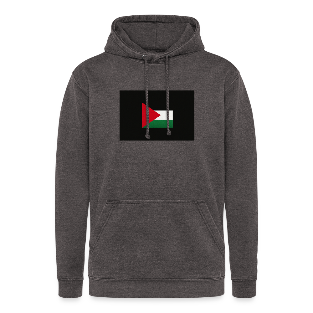 Sweat-shirt à capuche vintage unisexe Palestine - gris délavé