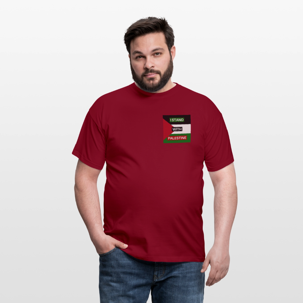 Men's T-Shirt Palestine - brick red