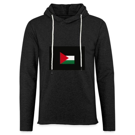Sweat-shirt à capuche léger unisexe Palestine - charbon