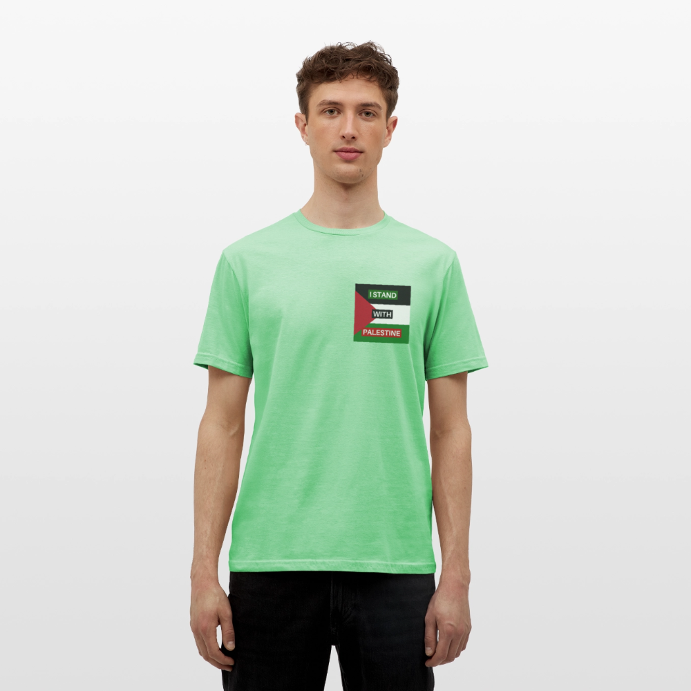 Men's T-Shirt Palestine - mint green