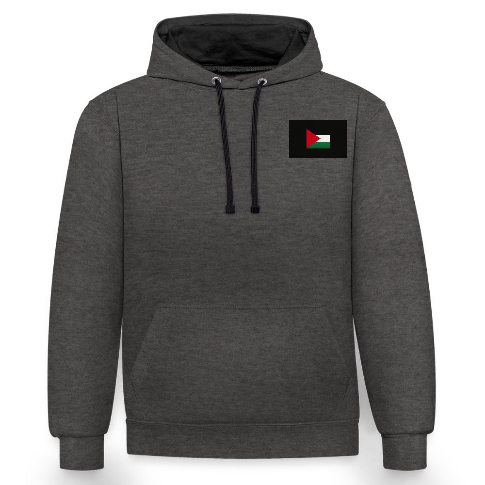 Sweat-shirt contraste Palestine - anthracite/noir