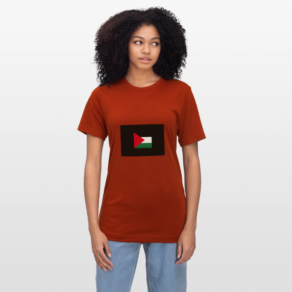 T-shirt chiné Bella + Canvas Unisexe Palestine - brique