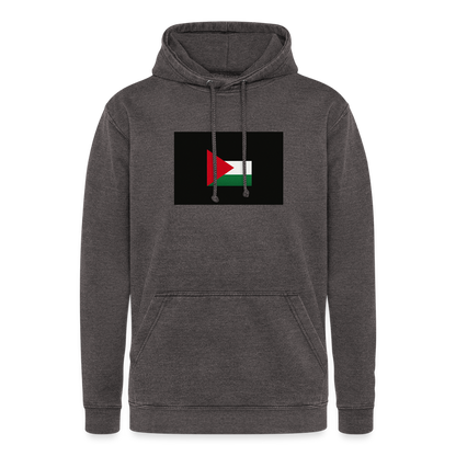 Sweat-shirt à capuche vintage unisexe Palestine - gris délavé