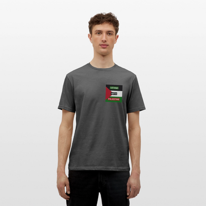 Men's T-Shirt Palestine - charcoal grey
